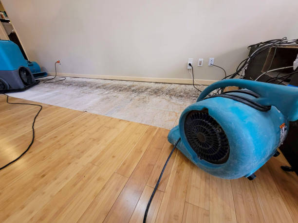Professional Sewage Cleanup technician working in Moscow Mills, MO
